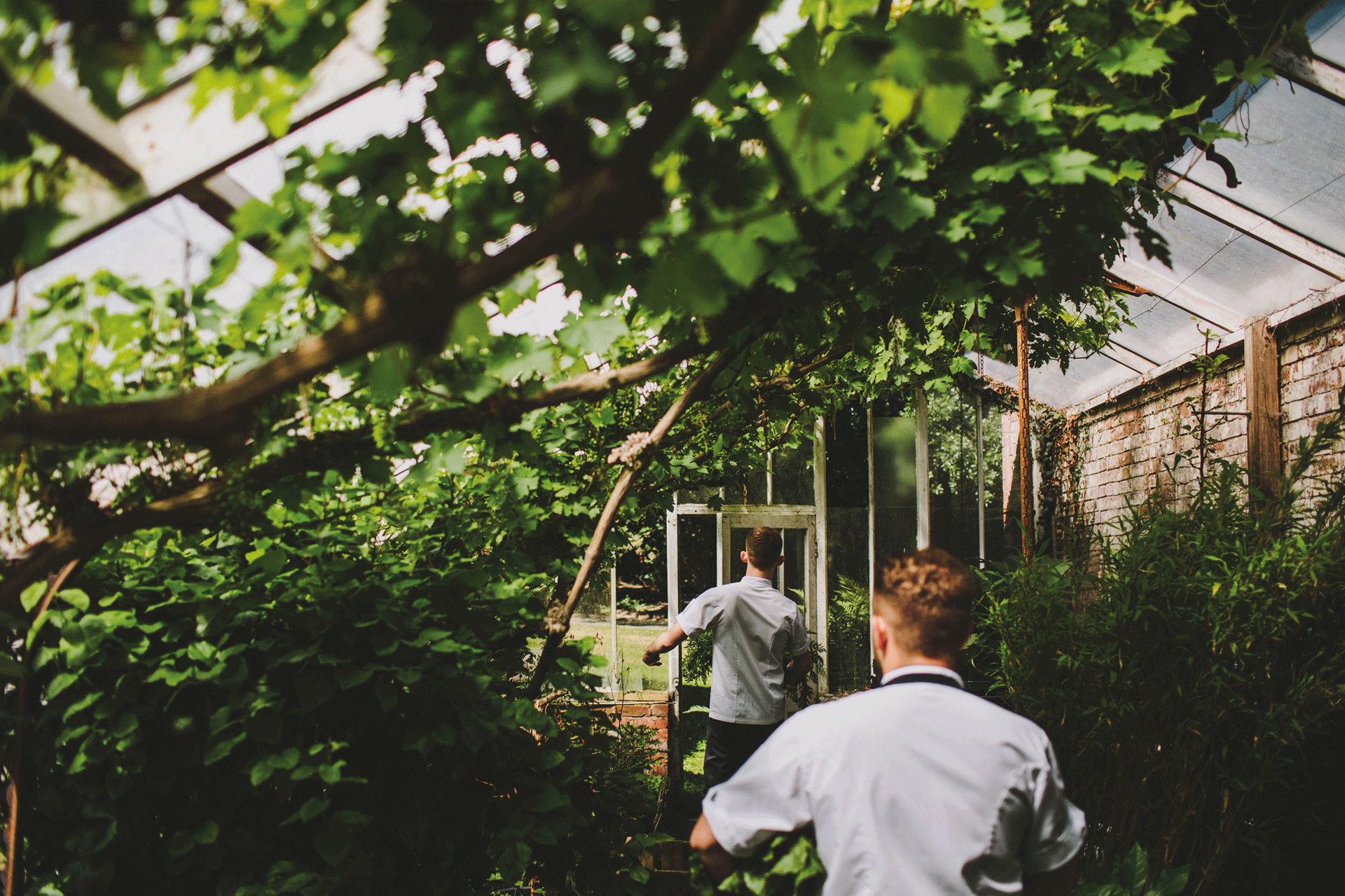 The Walled Garden at Hampton Manor