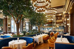 Cafe Carmellini at The Fifth Avenue Hotel