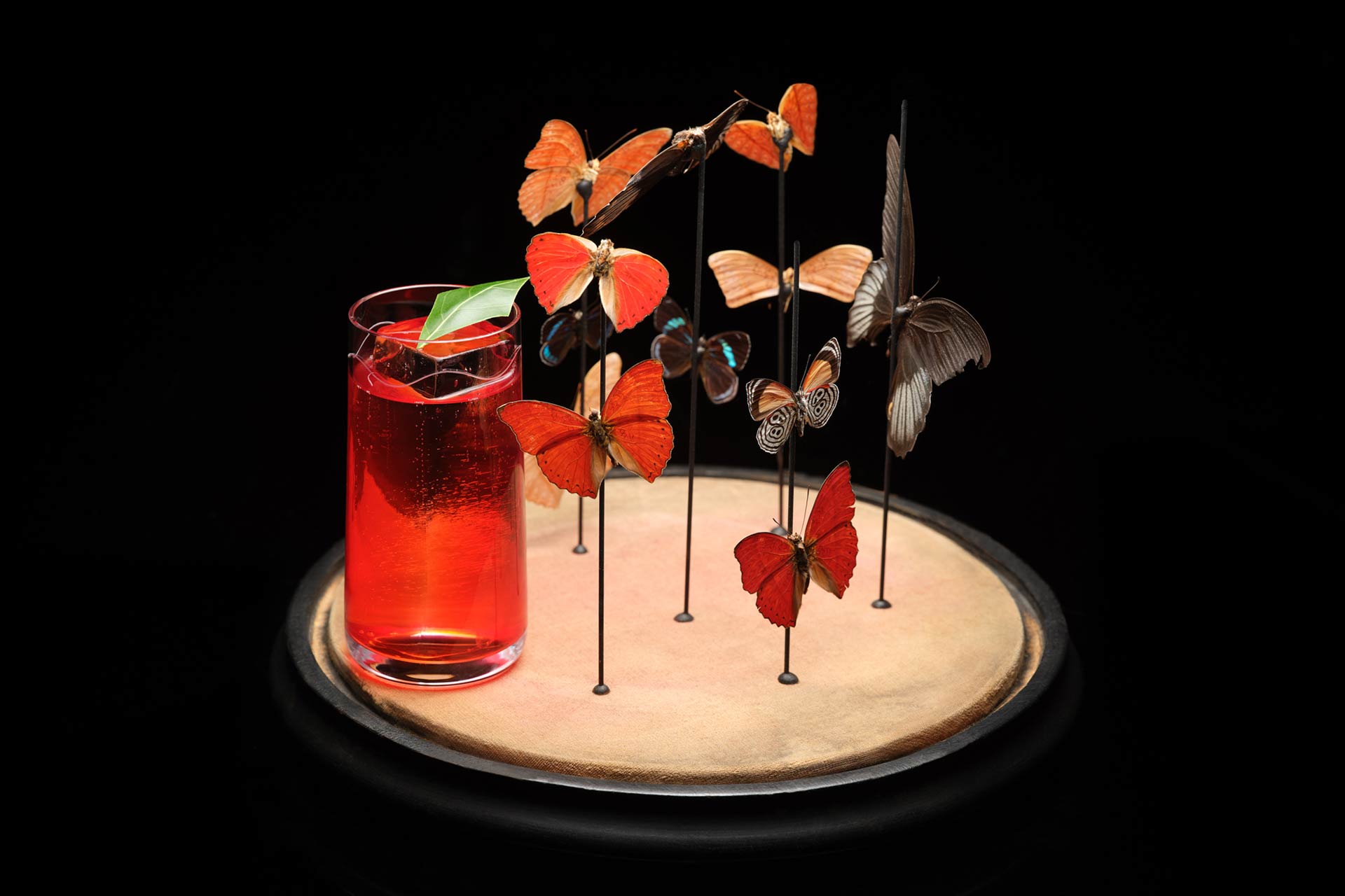 Scarfes Bar Charles Darwin inspired butterfly drink