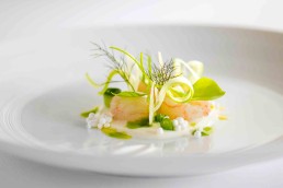 Botanic Gourmet Festival